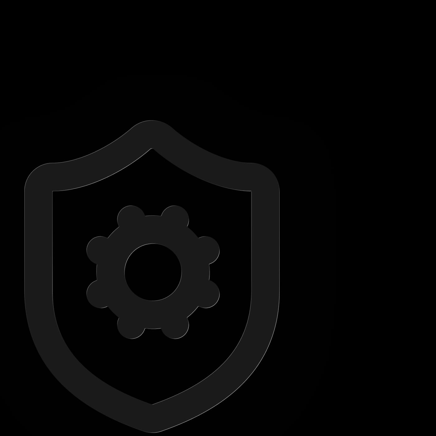 Privacy shield